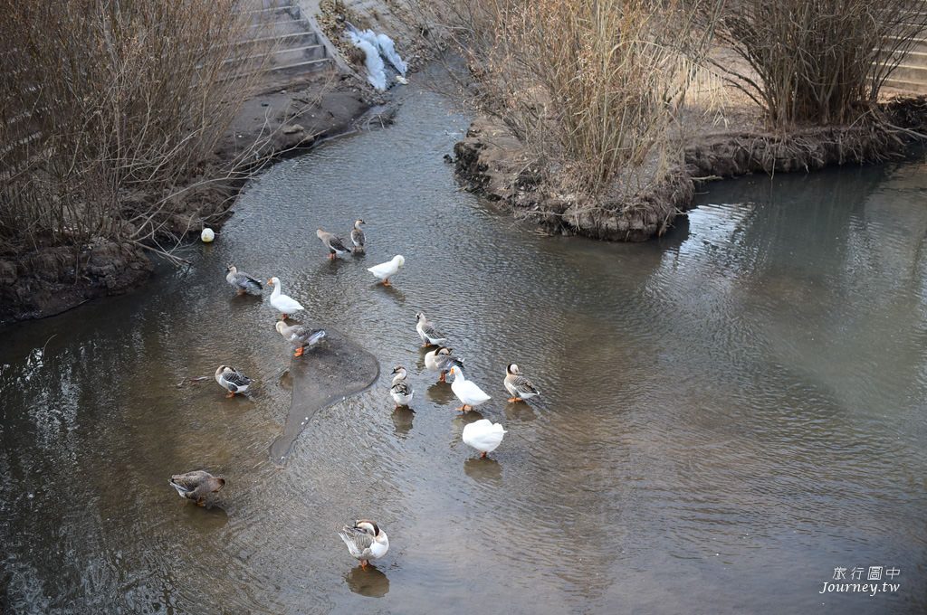 新疆吐魯番交河故城 世界上最完美的廢墟_img_6